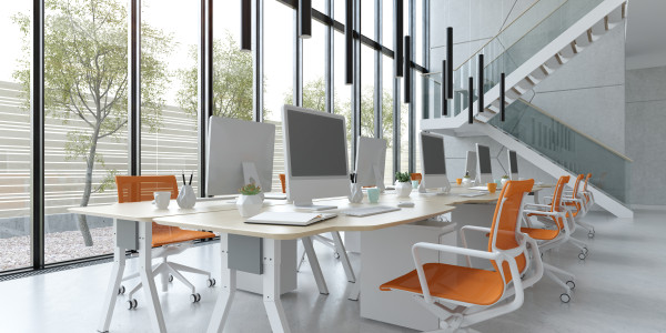 Proyectos de ICT Oficinas / Locales Comerciales Tibi · Implementación de servicios de transmisión de contenido audiovisual